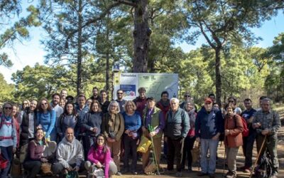 Los farmacéuticos conocen las setas de Gran Canaria
