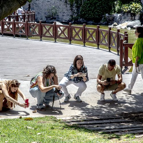 II edición del taller de fotografía para farmacéuticos colegiados