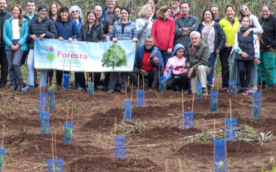 Los farmacéuticos ayudan a recuperar la laurisilva en Osorio