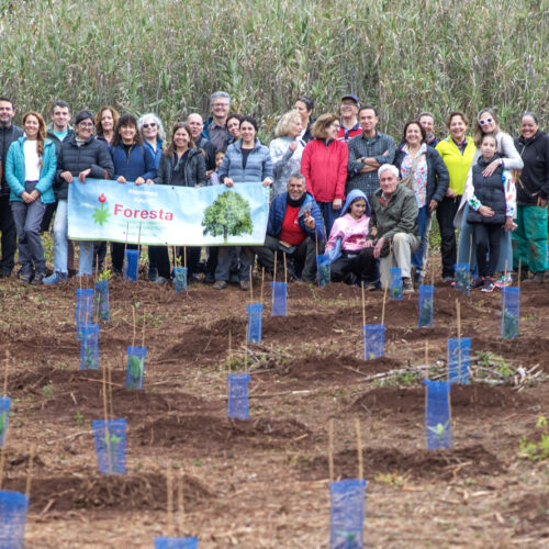 Los farmacéuticos ayudan a recuperar la laurisilva en Osorio