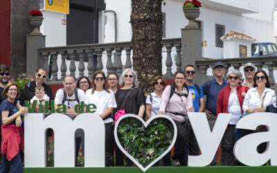 Actividad de ocio: Recorrido por el último reducto de laurisilva de Gran Canaria