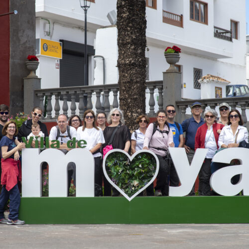 Actividad de ocio: Recorrido por el último reducto de laurisilva de Gran Canaria