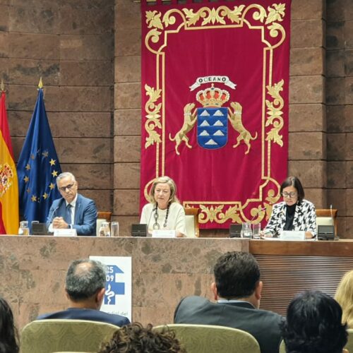 Los farmacéuticos reivindican un papel más activo en la sanidad en el Parlamento de Canarias