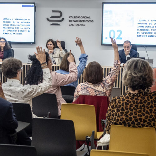 La Junta General aprueba por unanimidad la liquidación de presupuestos y la memoria de 2024