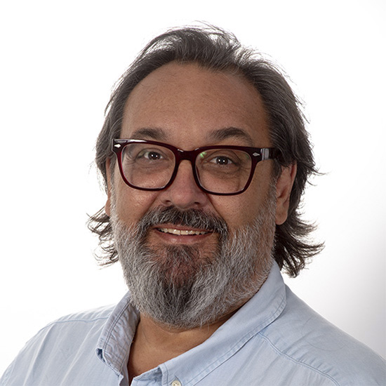 David Mayor Gomá web