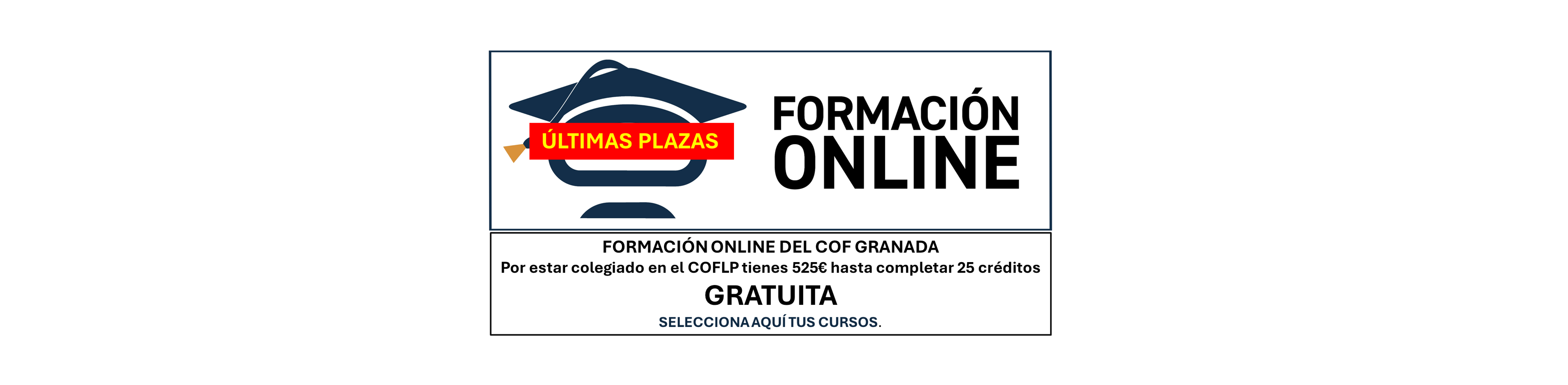 Formación Online